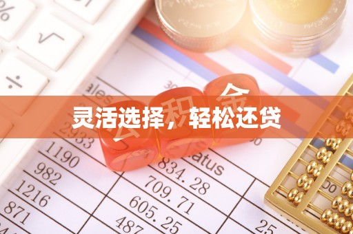 中区灵活选择，轻松还贷