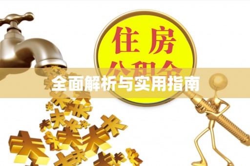 中区全面解析与实用指南