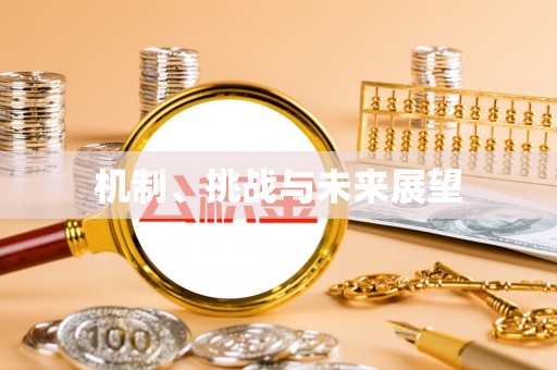中区机制、挑战与未来展望